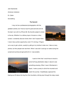 Sunwalking: A Personal Essay on Nature and Suburbia