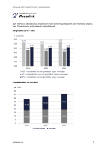 VWO Examen: Financi&euml;le Kengetallen Analyse