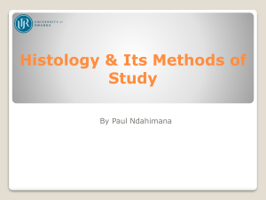 Histology & Its Methods of Study