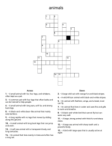 Animals Crossword Puzzle for Kids