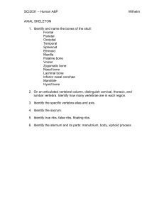 SCI2031 Human A&P Axial & Appendicular Skeleton Study Guide