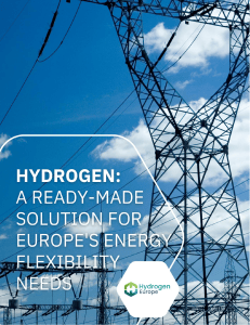 Hydrogen: Europe's Energy Flexibility Solution