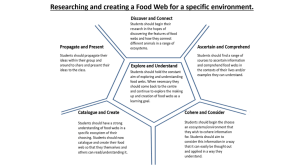 Food Web Research Project Guide: Steps for Students