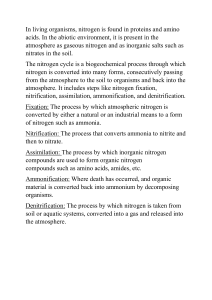 Nitrogen Cycle: Fixation, Nitrification, Assimilation