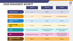 Fraud Management Maturity Levels Chart