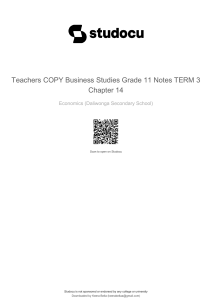 Business Studies Grade 11 Notes: Chapter 14 Action Plan