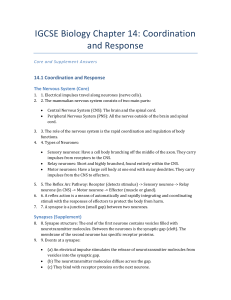 IGCSE Biology Chapter 14: Coordination and Response Answers