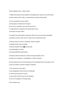 Physiology Practice Exam Questions