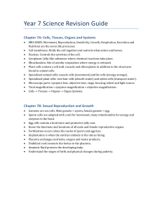 Year 7 Science Revision Guide