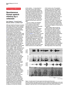 Spontaneous Human Speech Mimicry by a White Whale