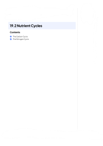 19.2 Nutrient Cycles: Carbon & Nitrogen Cycles Study Guide
