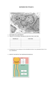 Cytology Seatwork Worksheet 1