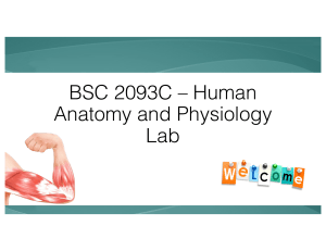 Human Anatomy and Physiology Lab Presentation
