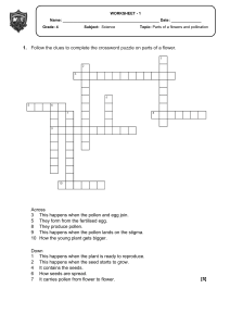 Grade 4 Science Worksheet: Flower Parts & Pollination