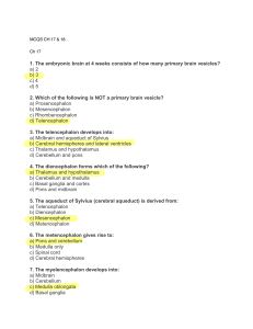 MCQs on Embryonic Brain Development Chapter 17-18