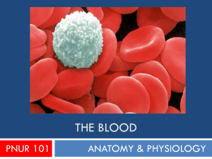 Blood Anatomy & Physiology