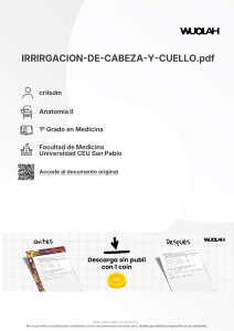 Apuntes de Irrigaci&oacute;n de Cabeza y Cuello