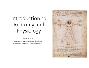 Introduction to Anatomy and Physiology