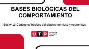 Bases Biol&oacute;gicas del Comportamiento: Sistema Nervioso y Neuromitos