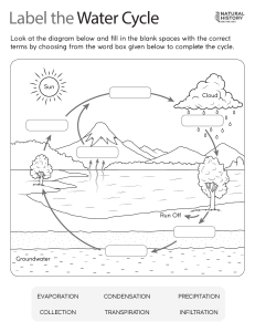 Label the Water Cycle Worksheet