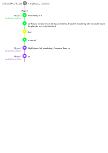 Prison Visit: Personal Journey Essay Draft