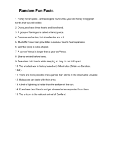 random fun facts