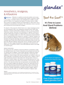 Alfaxalone vs Ketamine-Medetomidine in Cat OHE: Anesthesia Study