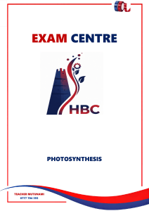 Photosynthesis Exam Worksheet by Teacher Mutunami
