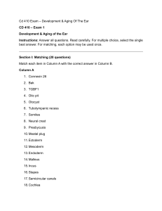 CD 410 Exam: Development & Aging of the Ear