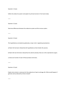 Human Reproduction Exam Questions