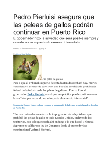 2021 Noticia Pedro Pierluisi asegura que las peleas de gallos podr&aacute;n continuar en Puerto Rico