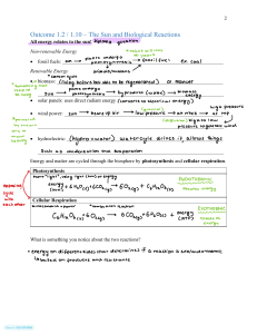 The Sun and Biological Reactions: Energy Cycles