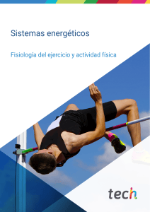 M1T2 -ENTRENAMIENTO Y PROGRAMACI&Oacute;N DE LA FUERZA