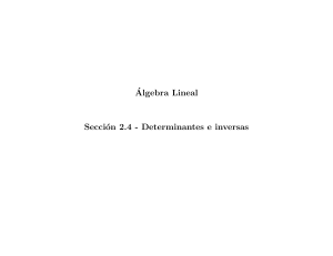 &Aacute;lgebra Lineal: Determinantes e Inversas - Secci&oacute;n 2.4