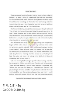 퐌데보겔: 숲속에서 발견된 아이의 이야기