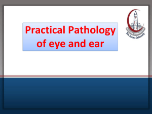 Practical Pathology of Eye and Ear