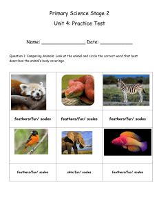 Primary Science Stage 2 Unit 4 Practice Test