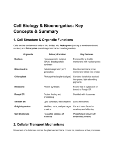 Cell Biology & Bioenergetics: Key Concepts Summary