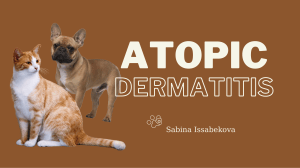 Atopic Dermatitis in Dogs & Cats: Causes, Diagnosis, Treatment