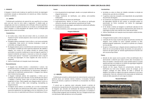 Terminologia de Desgaste e Falha de Engrenagens - AGMA 1010