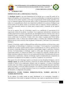 IMPORTANCIA DE LA HISTOLOGIA VEGETAL