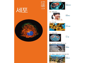 생물학 교과서: 세포와 화학의 기초