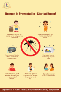 Dengue Prevention: Start at Home Infographic