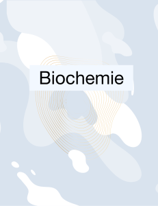 Biochemie: DNA vs RNA structuur
