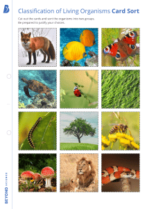 Classification of Living Organisms Card Sort Activity