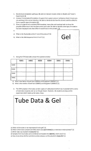 Molecular Biology Exam Questions: Genetics & Biotech