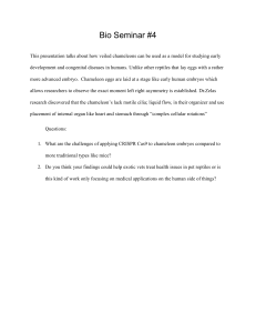 Bio 2 Seminar 4