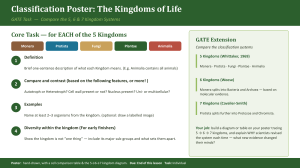 5-6-7 Kingdoms Poster Task Instructions