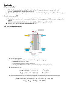Fuel cells