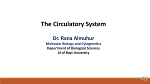 The Circulatory System